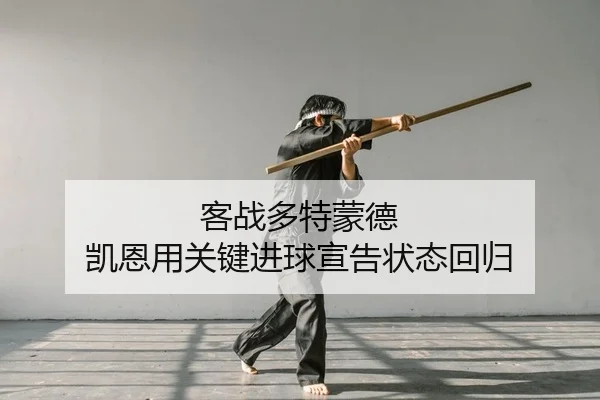 客战多特蒙德 凯恩用关键进球宣告状态回归
